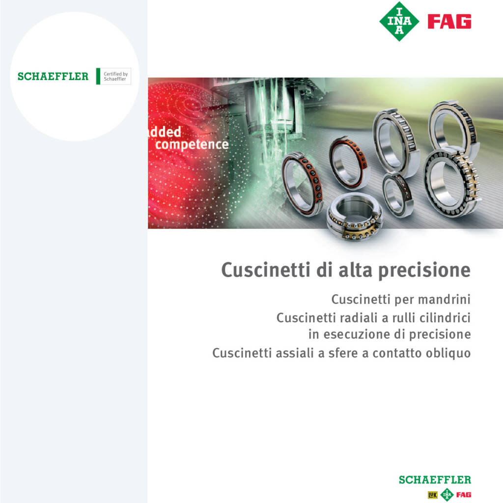 Cuscinetti di Precisione